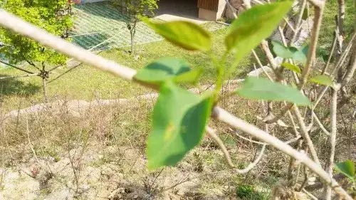 숙소 사진