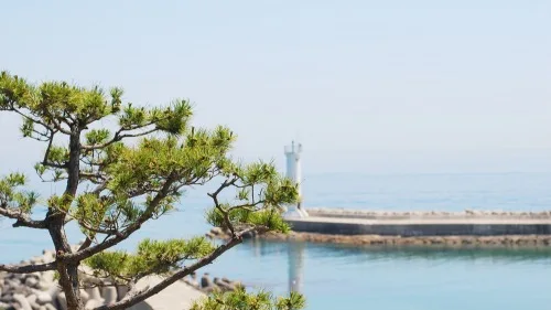 숙소 사진